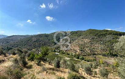 Güzelbahçe Payamlı Land for Sale