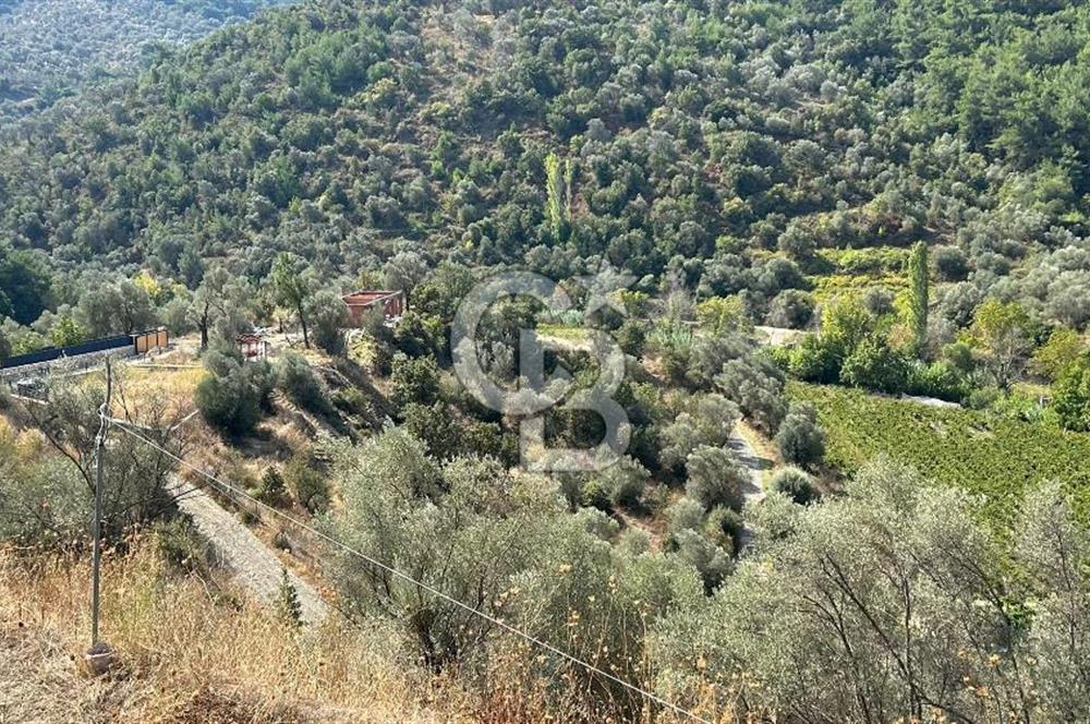 Güzelbahçe Payamlı Land for Sale