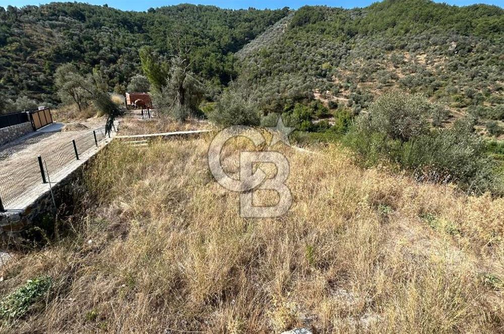 Güzelbahçe Payamlı Land for Sale