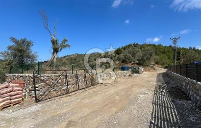 Güzelbahçe Payamlı Land for Sale