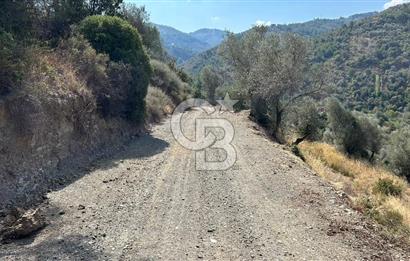 Güzelbahçe Payamlı Land for Sale