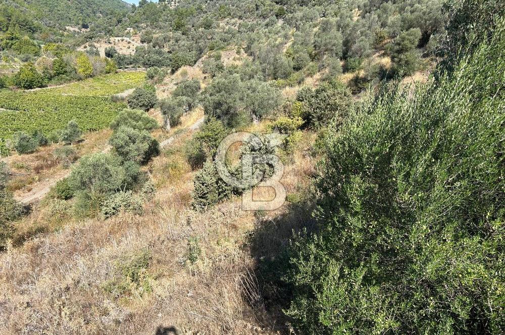 Güzelbahçe Payamlı Land for Sale