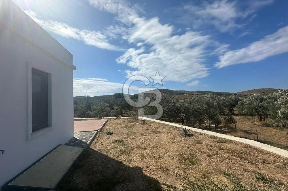 BOZCAADA ALAYBEY MAHALLESİ MERKEZE ÇOK YAKIN SATILIK BAĞ EVİ