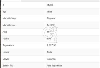 ALAÇAM/ MİLAS ' DA YATIRIMLIK TARLA