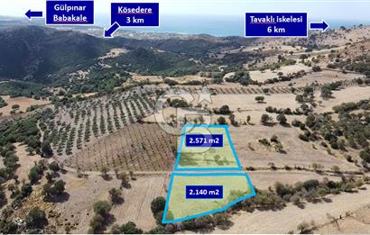 ÇANAKKALE KÖSEDERE KÖYÜ KUPON TARLA