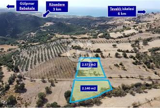 ÇANAKKALE KÖSEDERE KÖYÜ KUPON TARLA