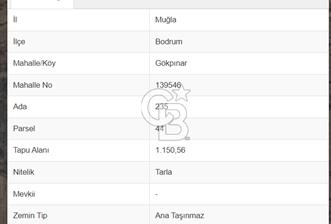 GÖKPINAR/MUMCULAR' DA BODRUM TAPULU YATIRIMLIK TARLA