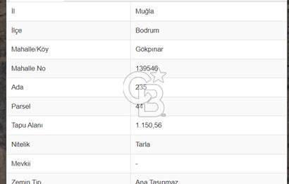 GÖKPINAR/MUMCULAR' DA BODRUM TAPULU YATIRIMLIK TARLA