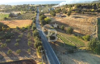 ÇANAKKALE AYVACIK KÖSEDERE KÖYÜ ASFALTA CEPHELİ TARLA