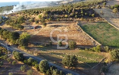 ÇANAKKALE AYVACIK KÖSEDERE KÖYÜ ASFALTA CEPHELİ TARLA