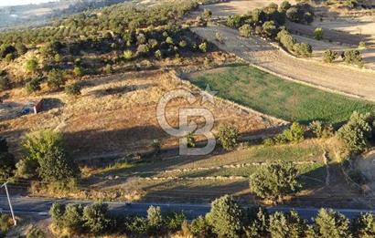 ÇANAKKALE AYVACIK KÖSEDERE KÖYÜ ASFALTA CEPHELİ TARLA