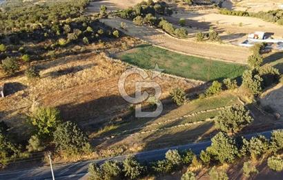 ÇANAKKALE AYVACIK KÖSEDERE KÖYÜ ASFALTA CEPHELİ TARLA