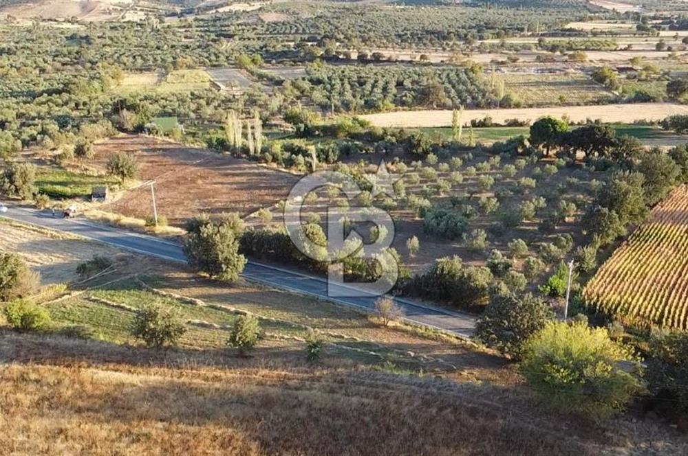 ÇANAKKALE AYVACIK KÖSEDERE KÖYÜ ASFALTA CEPHELİ TARLA