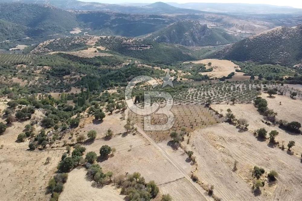 ÇANAKKALE KÖSEDERE KÖYÜ KUPON TARLA