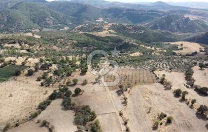 ÇANAKKALE KÖSEDERE KÖYÜ KUPON TARLA