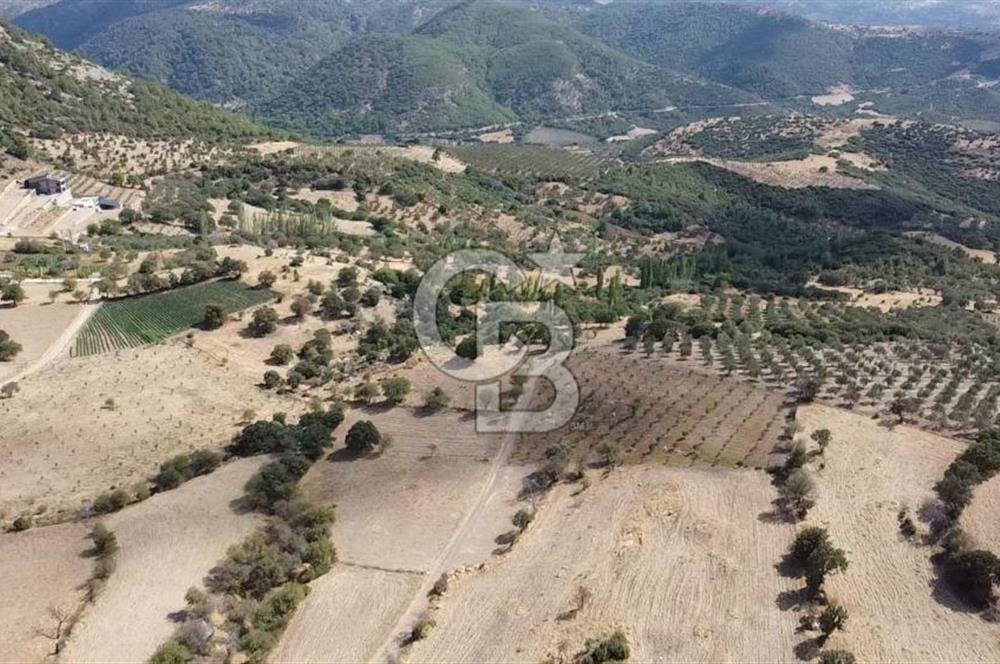 ÇANAKKALE KÖSEDERE KÖYÜ KUPON TARLA