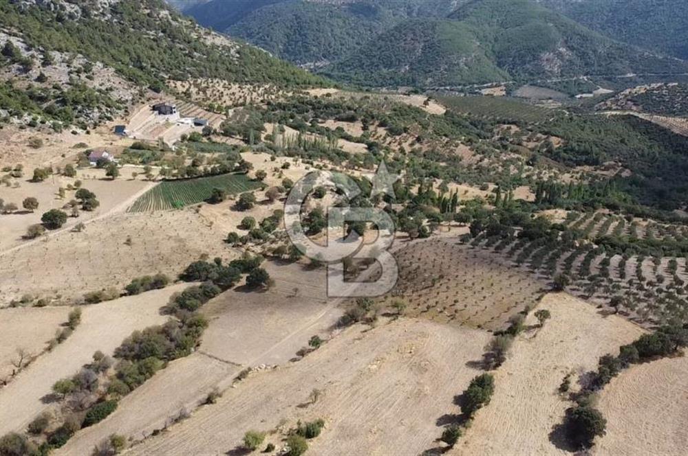 ÇANAKKALE KÖSEDERE KÖYÜ KUPON TARLA