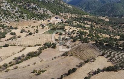 ÇANAKKALE KÖSEDERE KÖYÜ KUPON TARLA