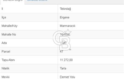 Marmaracık Mahallesi 21.861 m2 Satılık Tarla