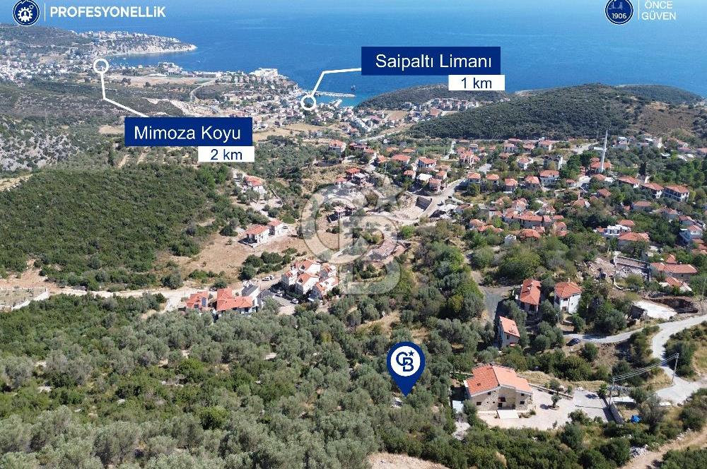 Karaburun Saip Mahallesi'nde Full Deniz Manzaralı Zeytinlik