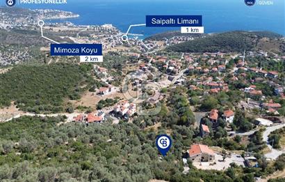 Karaburun Saip Mahallesi'nde Full Deniz Manzaralı Zeytinlik