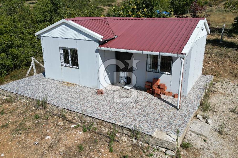 TİRE DAĞDERE ‘DE İÇİNDE EVİ BULUNAN 20 DÖNÜM CEVİZ BAHÇESİ