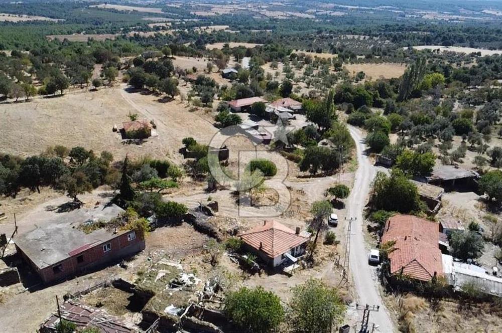 Bayramiç Palamutoba köy içinde evi bulunan satılık arsa 3755 m2