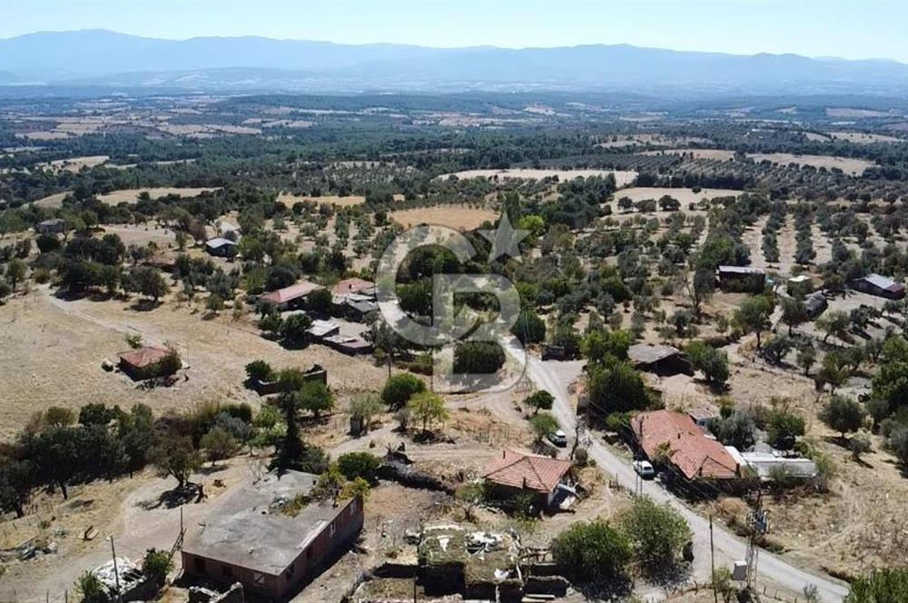 Bayramiç Palamutoba köy içinde evi bulunan satılık arsa 3755 m2