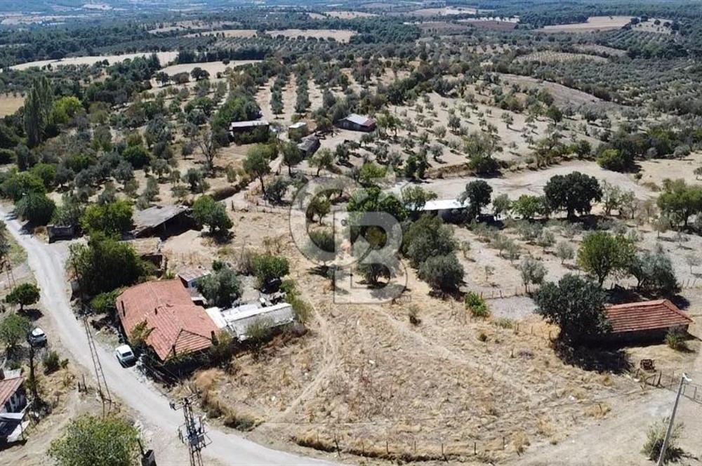 Bayramiç Palamutoba köy içinde evi bulunan satılık arsa 3755 m2