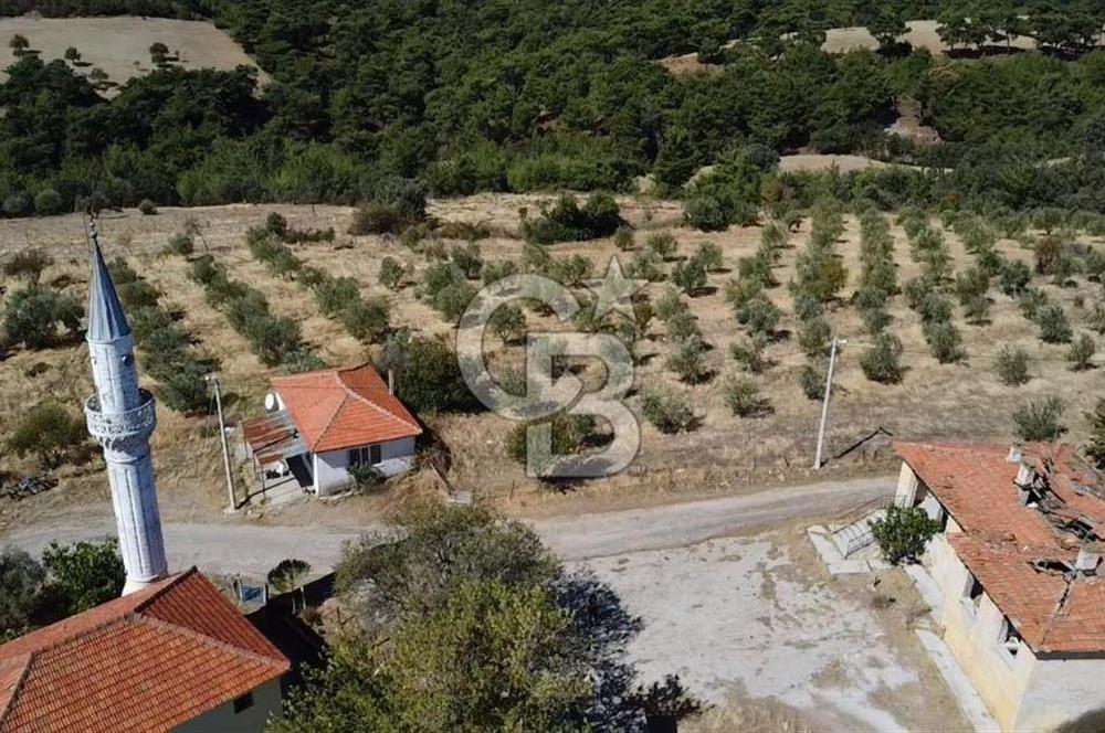 Bayramiç Palamutoba köy içinde evi bulunan satılık arsa 3755 m2