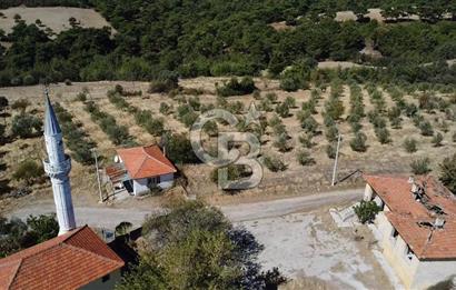 Bayramiç Palamutoba köy içinde evi bulunan satılık arsa 3755 m2