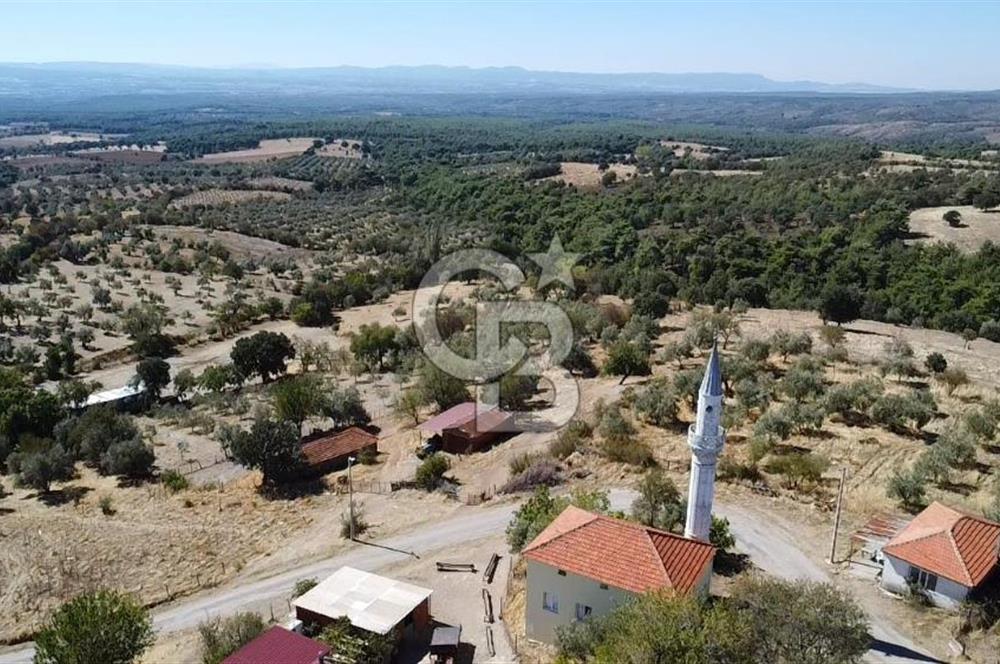 Bayramiç Palamutoba köy içinde evi bulunan satılık arsa 3755 m2