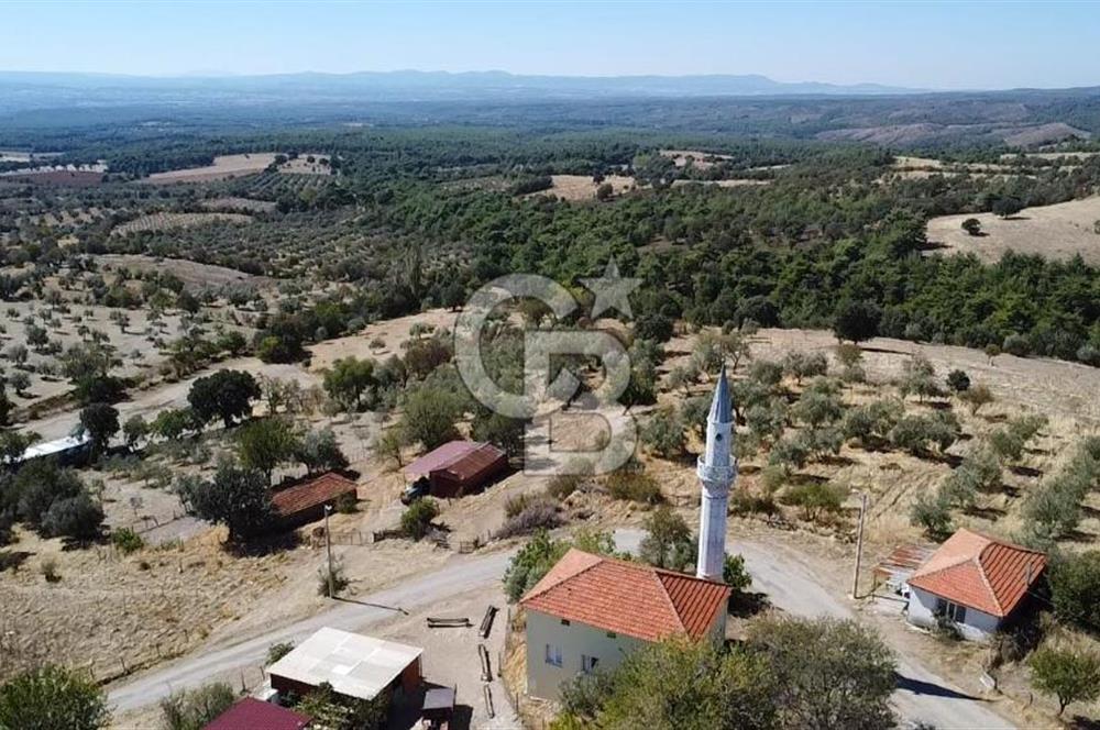 Bayramiç Palamutoba köy içinde evi bulunan satılık arsa 3755 m2