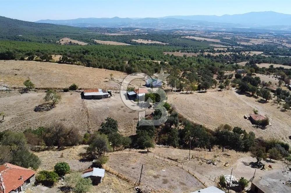 Bayramiç Palamutoba köy içinde evi bulunan satılık arsa 3755 m2