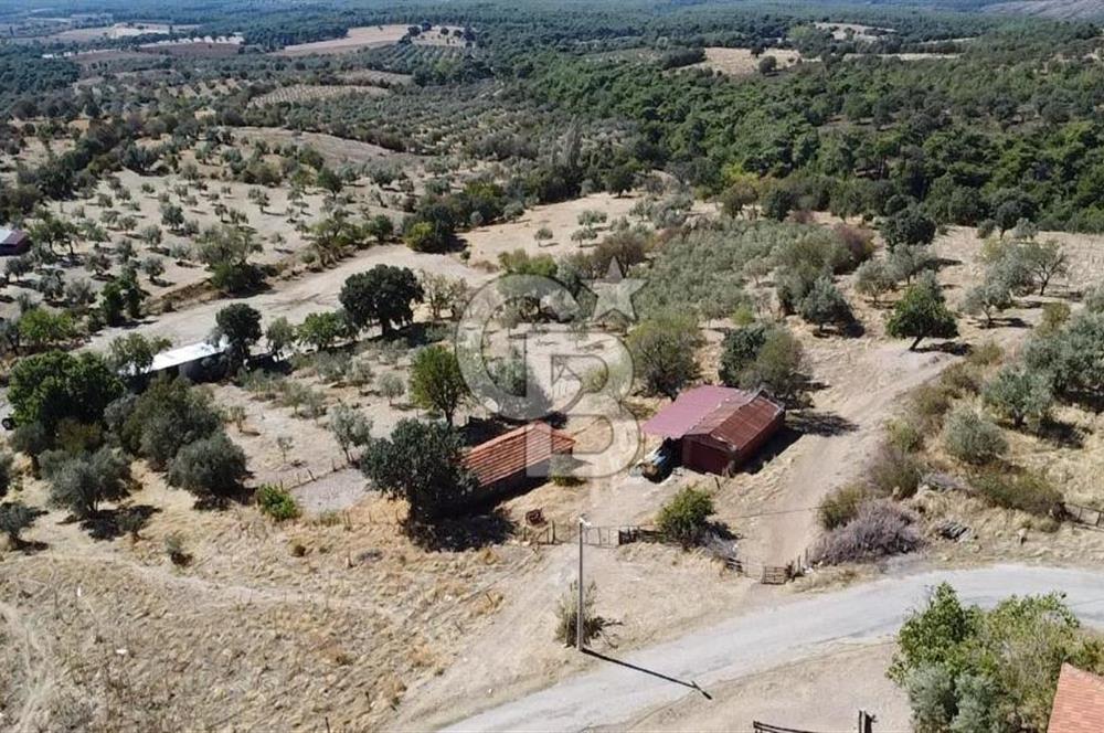 Bayramiç Palamutoba köy içinde evi bulunan satılık arsa 3755 m2