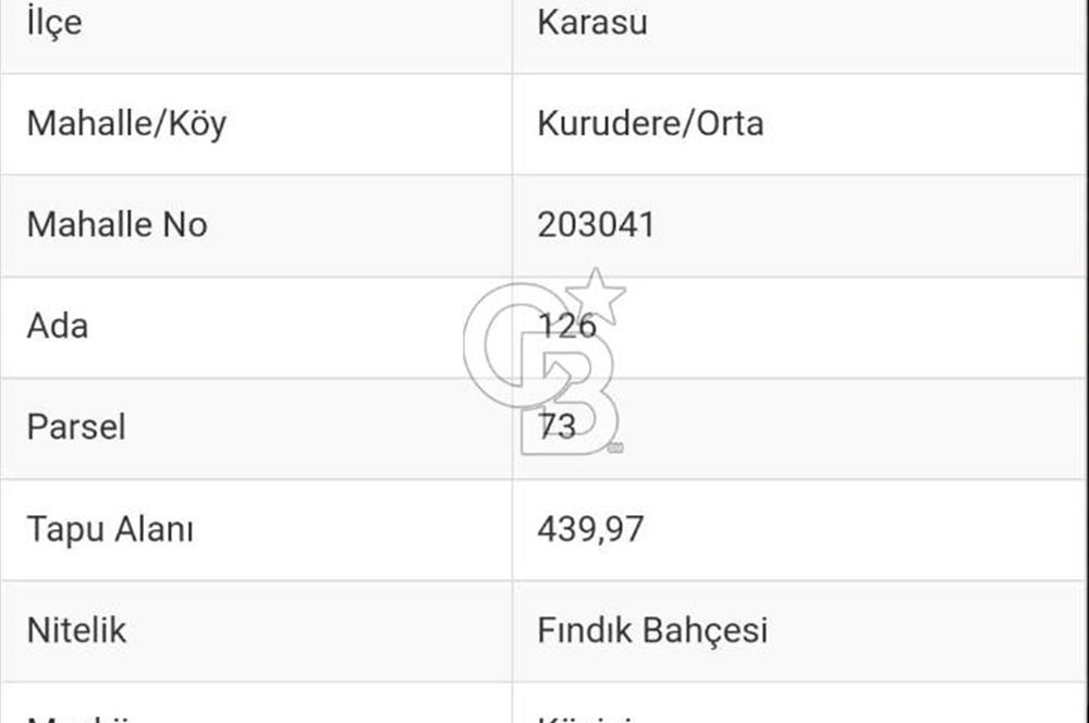 SAKARYA KARASU'DA İMARA BİR PARSEL UZAKLIKTA SATILIK FINDIK BAHÇESİ