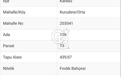 SAKARYA KARASU'DA İMARA BİR PARSEL UZAKLIKTA SATILIK FINDIK BAHÇESİ