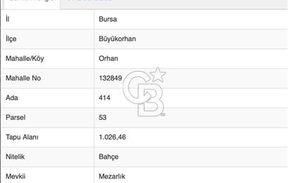 CB ADDRESS’ten BURSA BÜYÜKORHAN ORHAN MAHALLESİNDE SATILIK BAHÇE