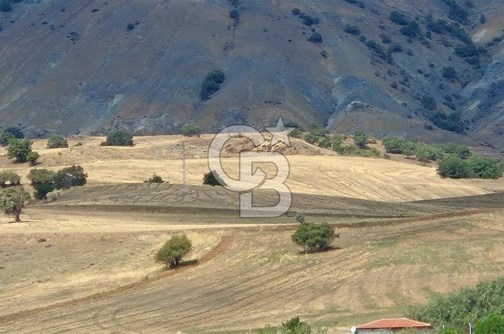 ELMADAĞ KARACAHASAN SATILIK TEK TAPU MÜSTAKİL PARSEL 15 DÖNÜM