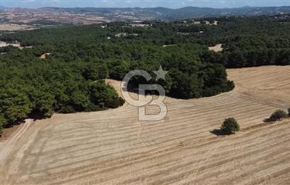 ÇANAKKALE MERKEZ ÇINARLI DA YOLU OLAN 13.000 M2 SATILIK TARLA