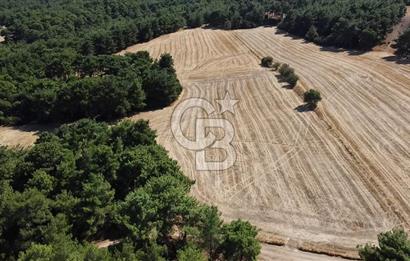 ÇANAKKALE MERKEZ ÇINARLI DA YOLU OLAN 13.000 M2 SATILIK TARLA