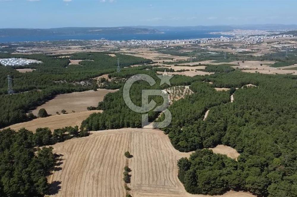 ÇANAKKALE MERKEZ ÇINARLI DA YOLU OLAN 13.000 M2 SATILIK TARLA