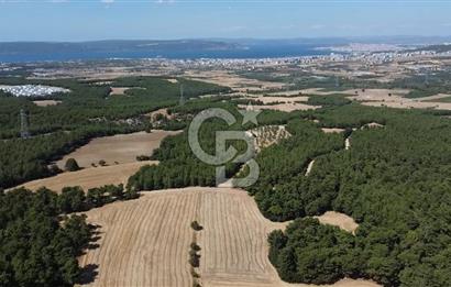 ÇANAKKALE MERKEZ ÇINARLI DA YOLU OLAN 13.000 M2 SATILIK TARLA