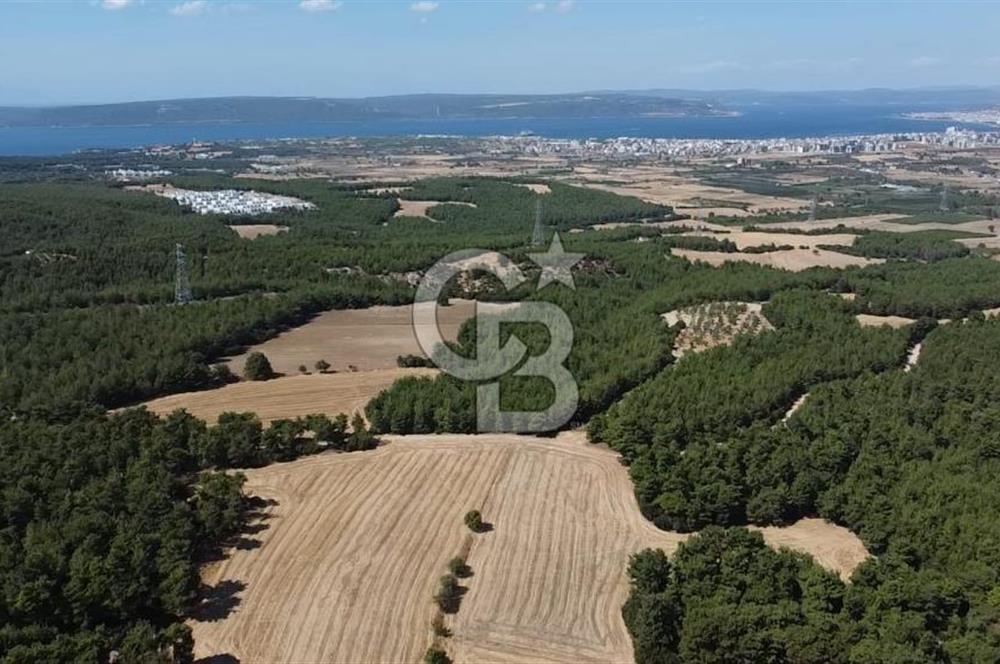 ÇANAKKALE MERKEZ ÇINARLI DA YOLU OLAN 13.000 M2 SATILIK TARLA