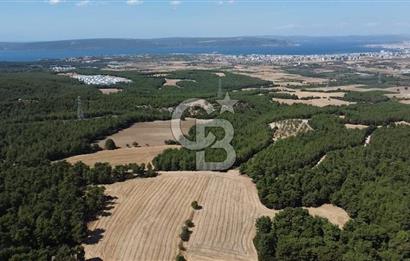 ÇANAKKALE MERKEZ ÇINARLI DA YOLU OLAN 13.000 M2 SATILIK TARLA