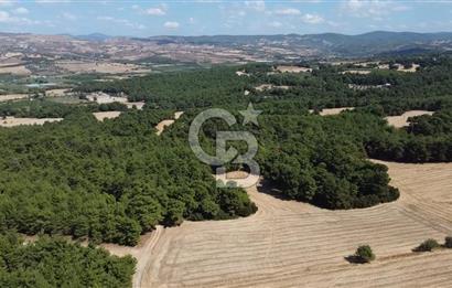 ÇANAKKALE MERKEZ ÇINARLI DA YOLU OLAN 13.000 M2 SATILIK TARLA