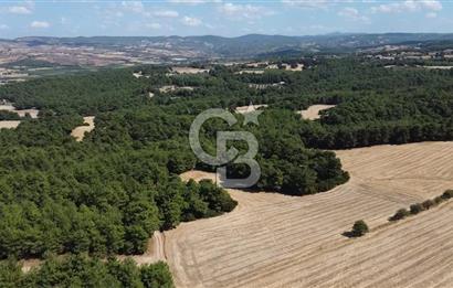 ÇANAKKALE MERKEZ ÇINARLI DA YOLU OLAN 13.000 M2 SATILIK TARLA