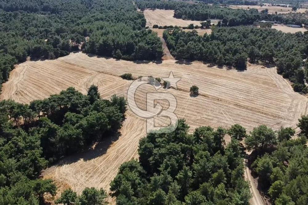 ÇANAKKALE MERKEZ ÇINARLI DA YOLU OLAN 13.000 M2 SATILIK TARLA