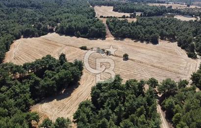 ÇANAKKALE MERKEZ ÇINARLI DA YOLU OLAN 13.000 M2 SATILIK TARLA