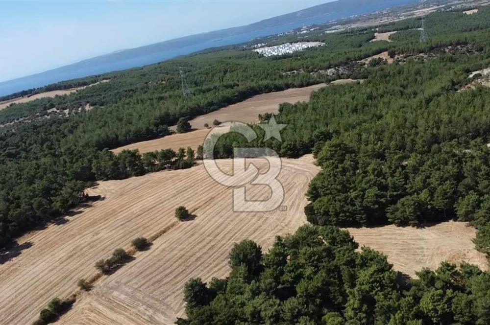 ÇANAKKALE MERKEZ ÇINARLI DA YOLU OLAN 13.000 M2 SATILIK TARLA